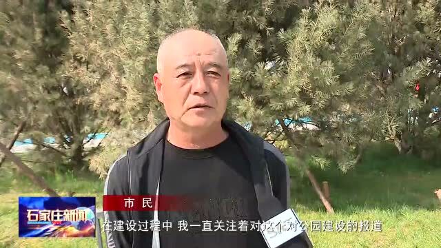 石家庄在行动丨奋力书写创建文明城市的新答卷