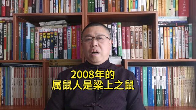 秦华讲解属鼠的人,2008年出生的属鼠人是梁上之鼠