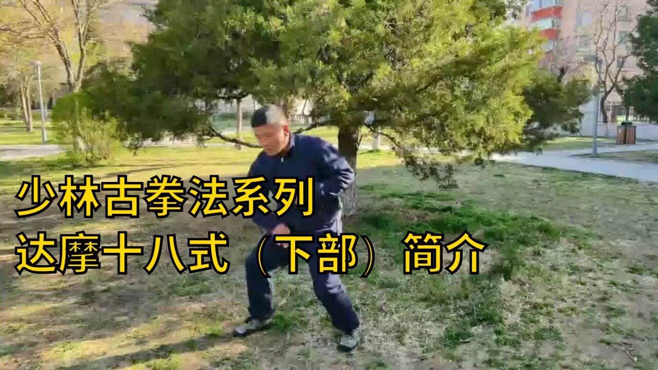 少林古拳法系列,达摩十八式(下部)简介