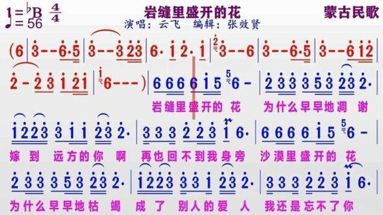 云飞演唱《岩缝里盛开的花》的同步动态彩色简谱