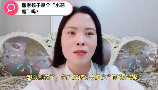 想限制孩子,先了解孩子大脑之“前额叶皮质”