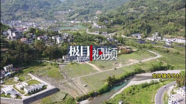 【视频】武汉光谷将“示范产业园”建到了恩施大山里