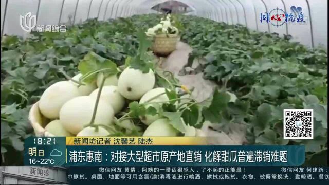 浦东惠南:对接大型超市原产地直销 化解甜瓜普遍滞销难题