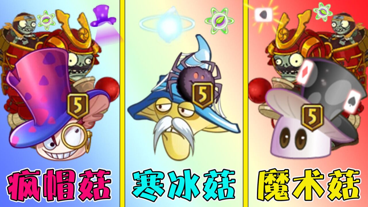 5阶疯帽菇vs魔术菇vs寒冰菇,差距究竟有多大?