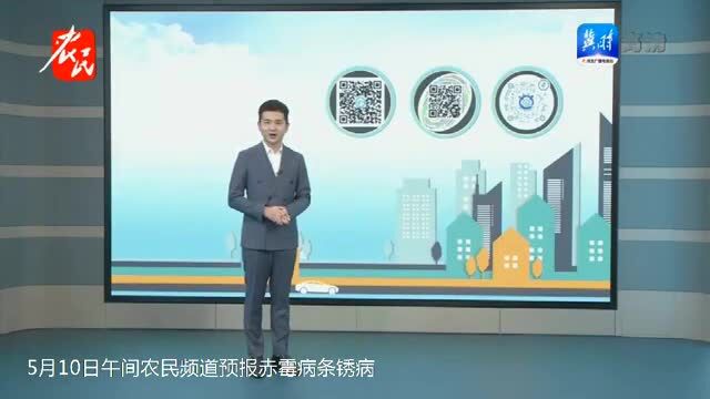 栽培《全国农技中心:2022年北方薯区甘薯生产技术指导意见》《小麦后期管理技术要点》