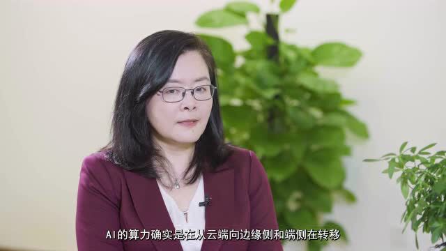 对话爱芯元智CEO仇肖莘博士:做边缘侧芯片,就像“大象在盒子里跳舞”