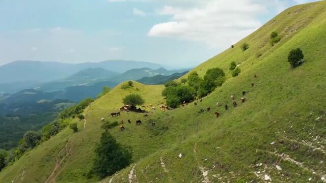 儿童舞台剧 愚公移山 伴奏 纯音乐 xyAI精消版 