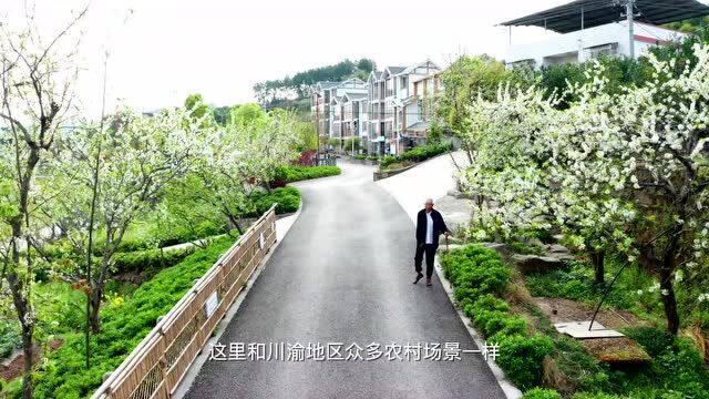 重庆首例乡村适老化改造 | 万州区东桥村