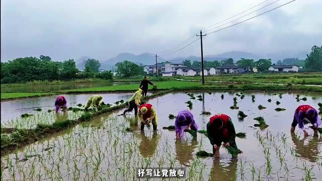 瑞金市:让党徽在生产一线熠熠生辉