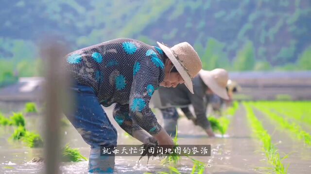 农道乡宿 乡宿是一个故事,是一座美丽的院子,是一种舒适的田园生活方式,是农民的家,是城市人向往的生活! 农耕千年,乡中有宿! 欢迎回家!