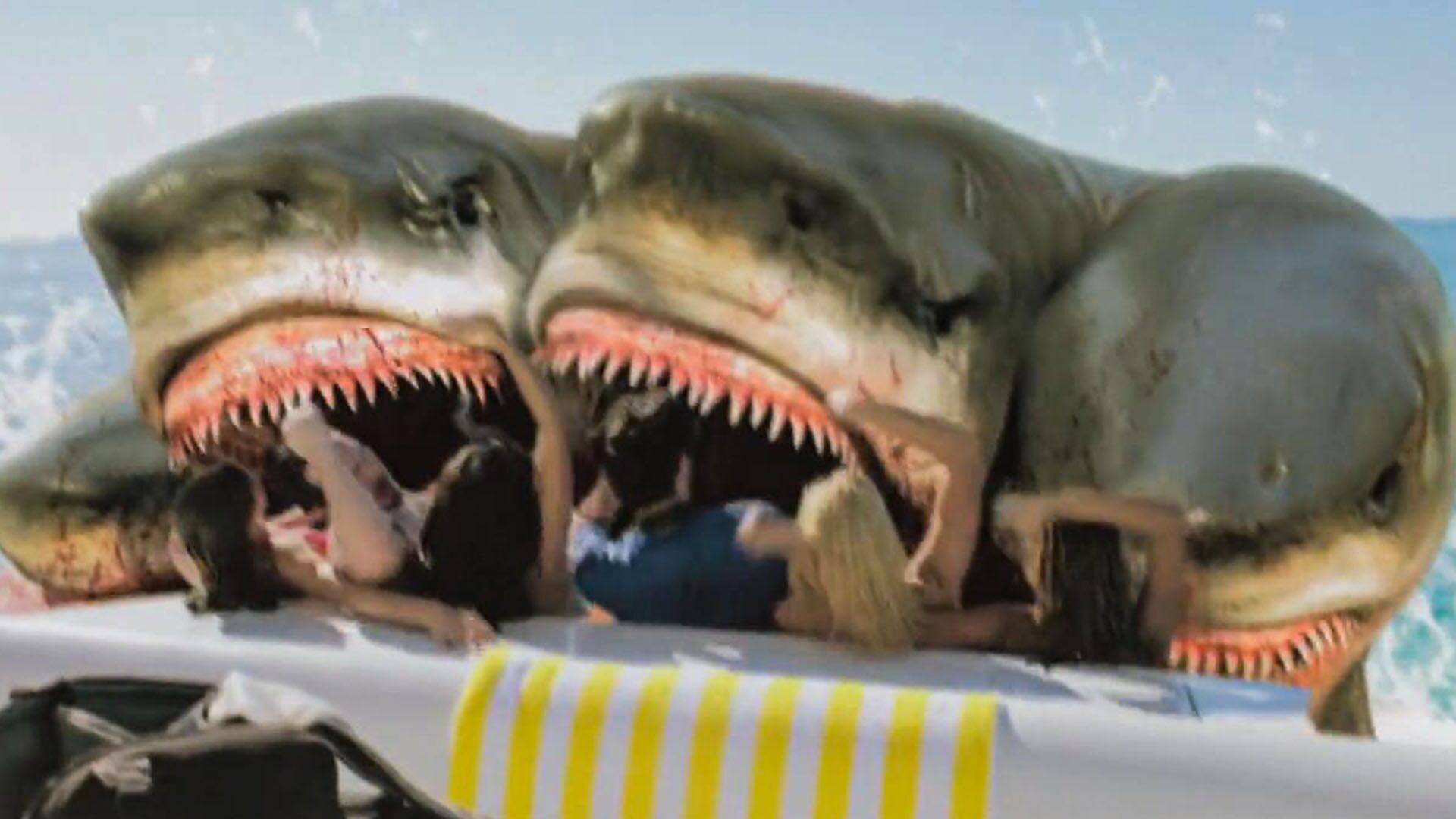 夺命五头鲨3：你从未见过的多头鲨鱼，探索小队展开捕鲨行动