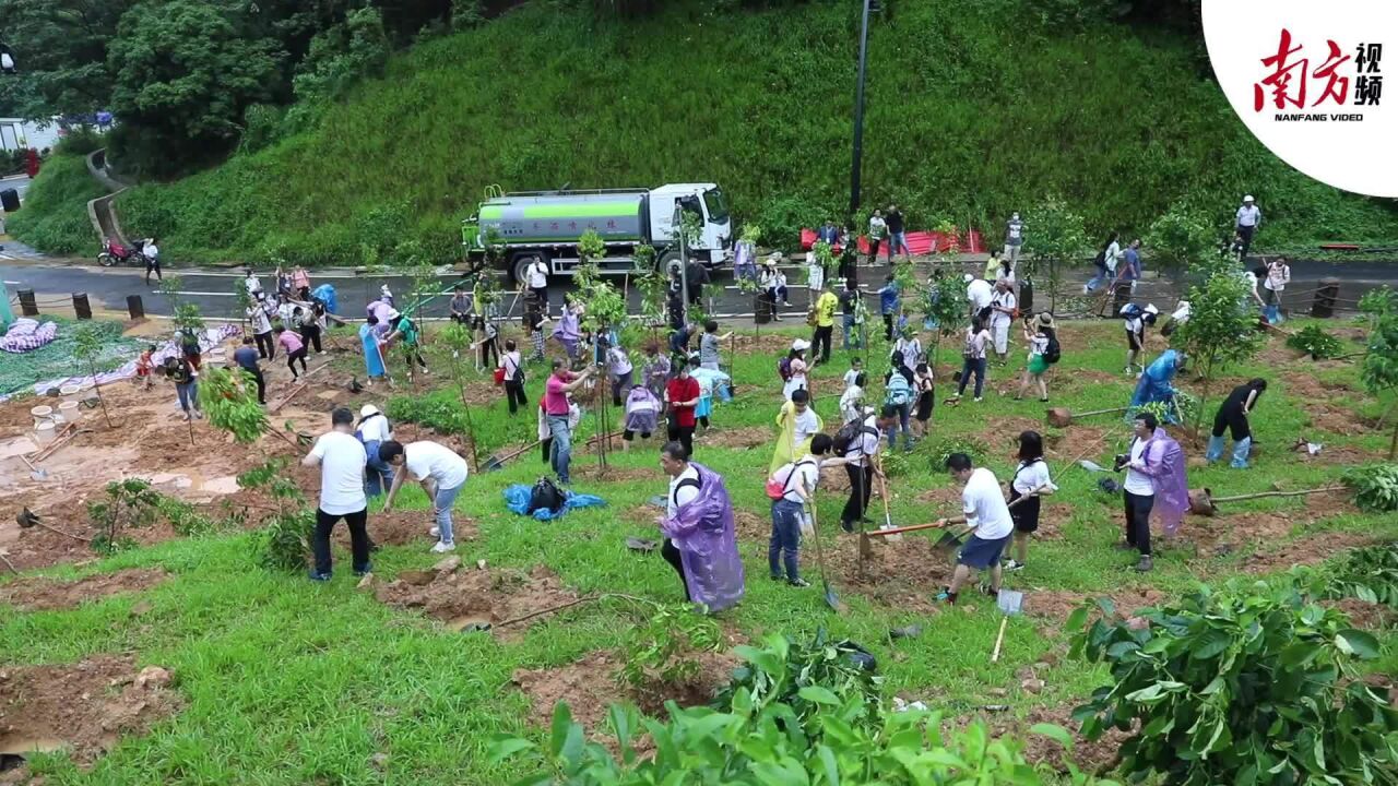 奥运冠军携网友参加第四届广东林业ⷨ…𞨮什‘友植树节