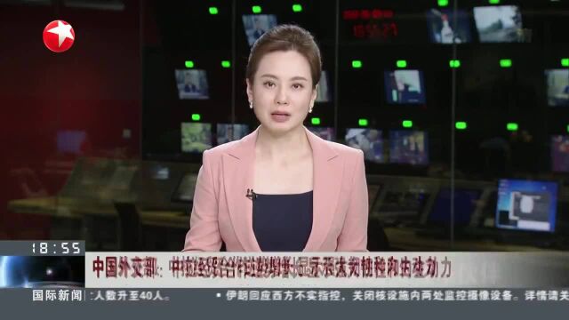 中国外交部:中拉经贸合作逆势增长 显示强大韧性和内生动力