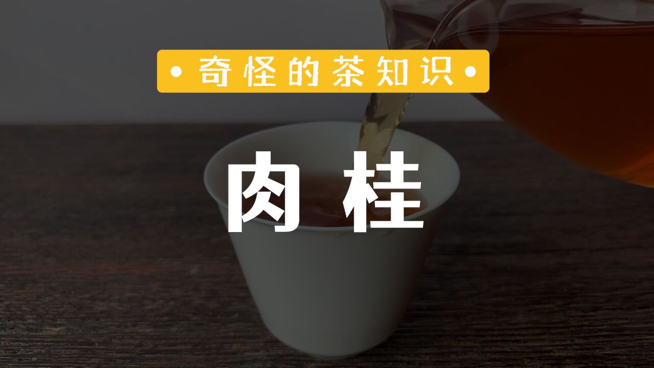 武夷岩茶中的「肉桂」凭什么火?