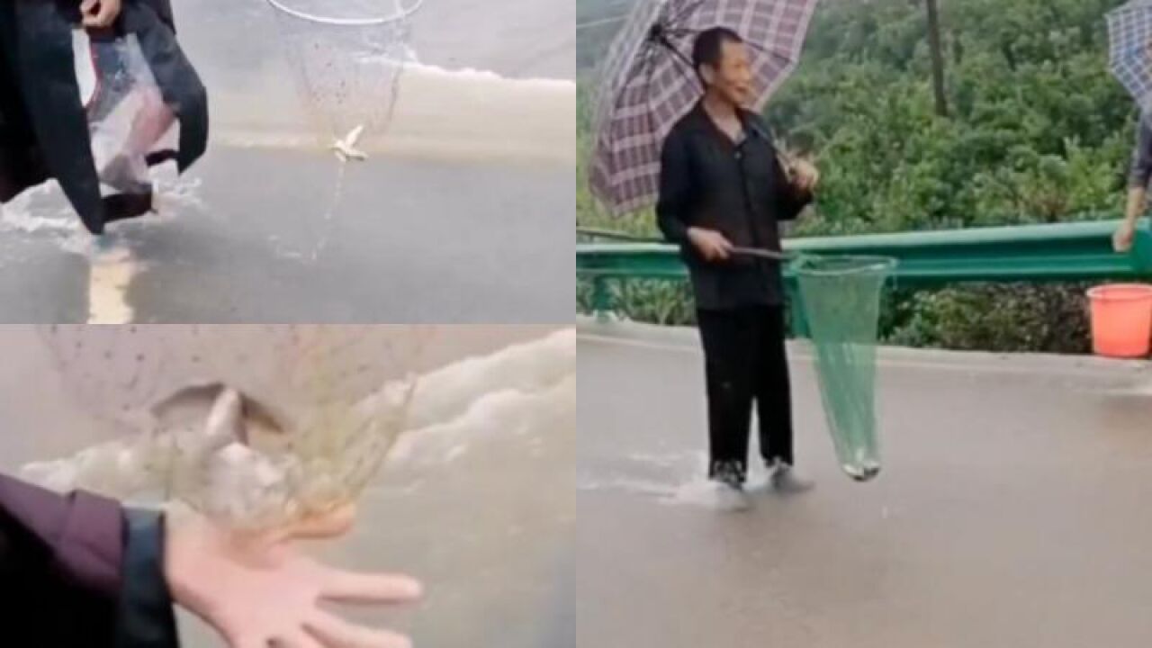 连续阴雨致一水塘漫堤,村民站路边用网兜抓鱼玩得不亦乐乎