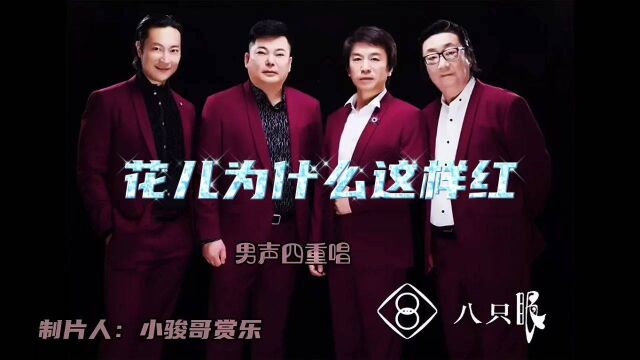 请欣赏:八只眼演唱的电影歌曲《花儿为什么这样红》