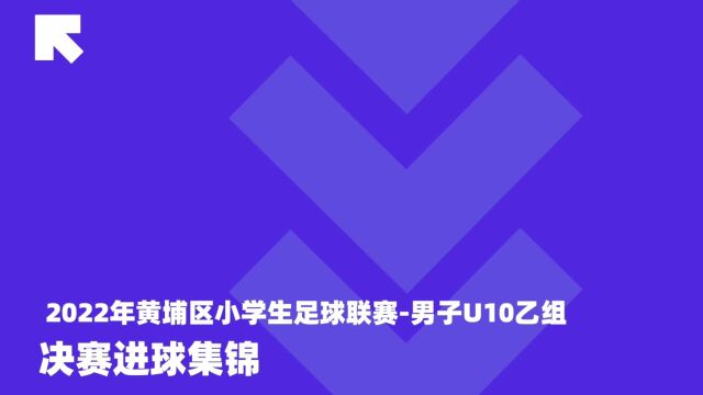 2022年黄埔区小学生足球联赛男子U10乙组决赛进球集锦