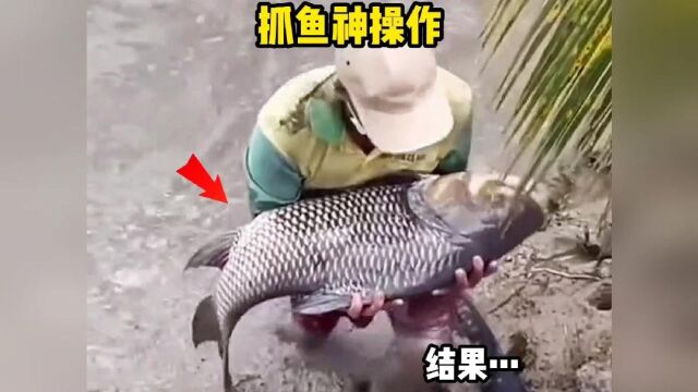 生活趣点:抓鱼神操作