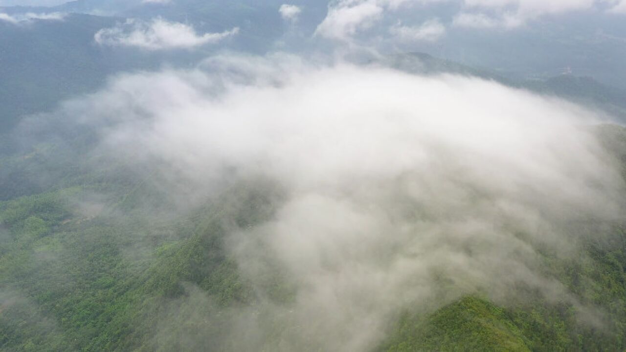 攸县:赏自然之美 看高山云雾涌动