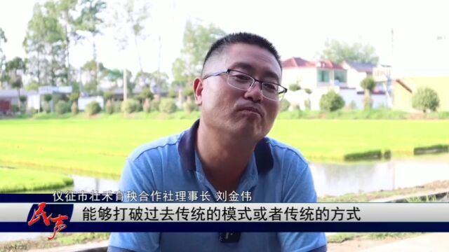 仪征市新集镇刘金伟筑梦农业