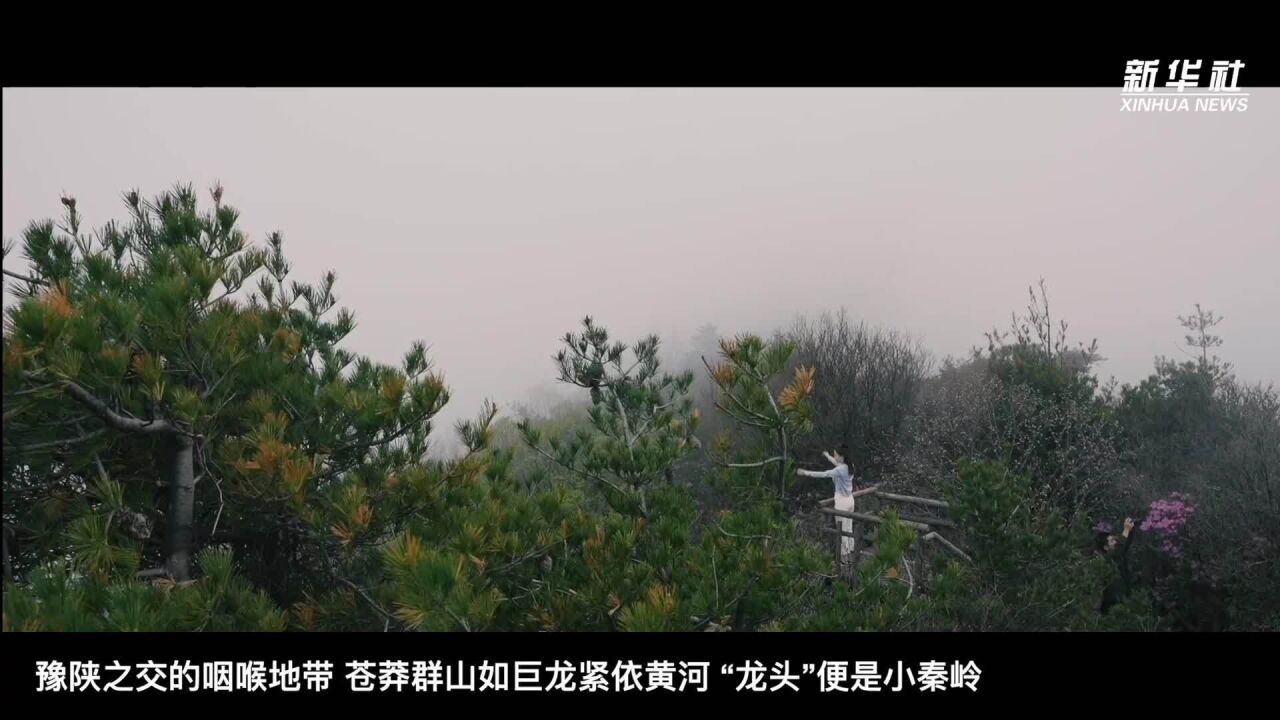 千城胜景|览青山叠翠 赏云卷云舒