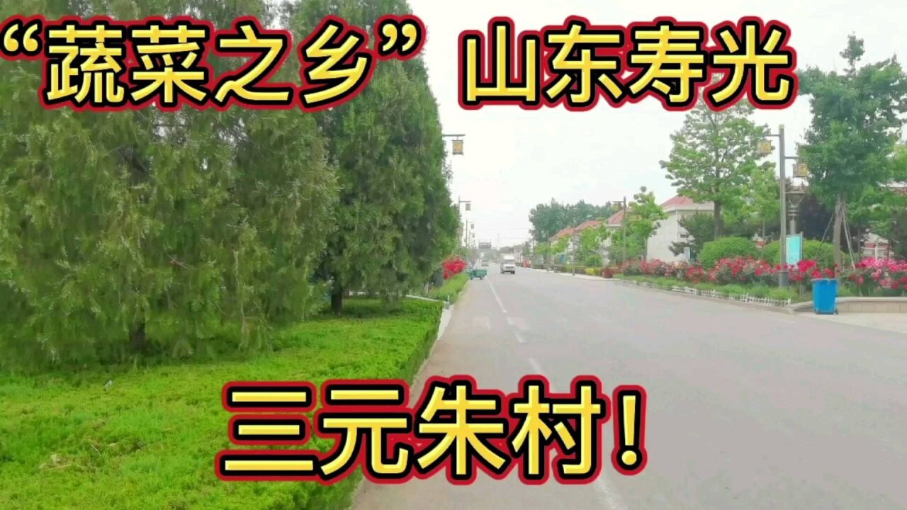 蔬菜之乡山东寿光三元朱村,是全国最富有的村庄之一,是靠蔬菜温室大棚