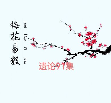 说:梅花易数91遗论