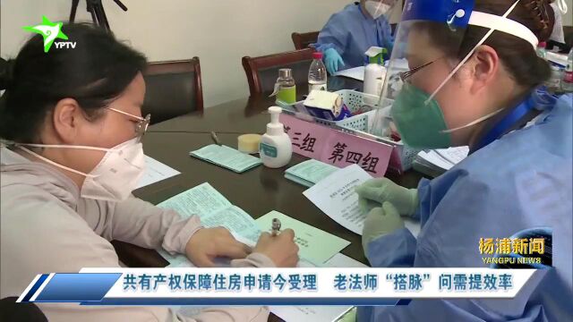 视频|共有产权保障住房申请今受理 老法师“搭脉”问需提效率