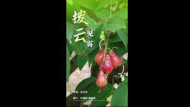 二十五载紫荆花开 | 香港青年“看中华”