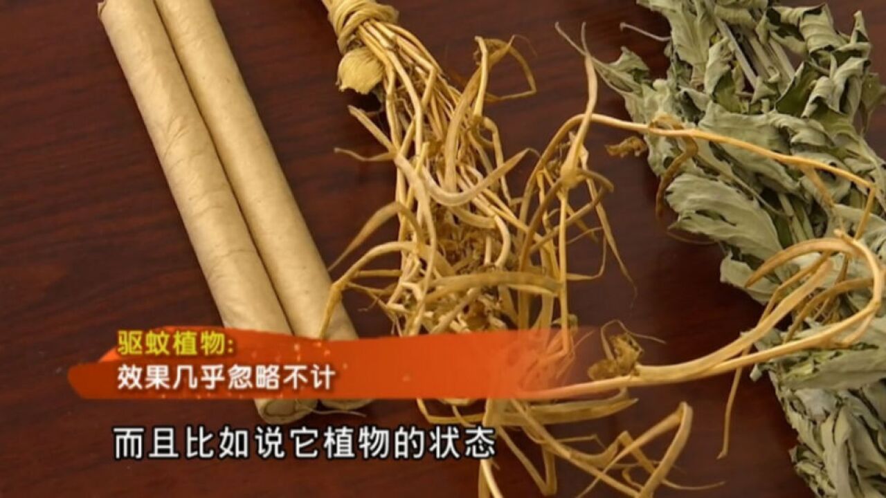 拒绝成为“叮子户”!驱蚊产品种类繁多,你选对了吗?