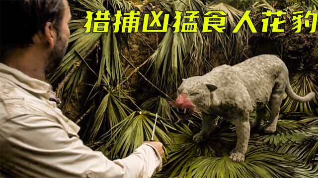 猎人在原始丛林中狩猎,无意间捕捉到一只凶猛的花豹.《原始恐惧》