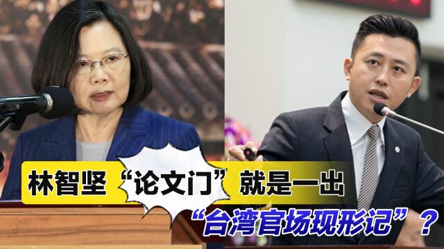 林智坚“论文门”就是一出“台湾官场现形记”?赖岳谦解读