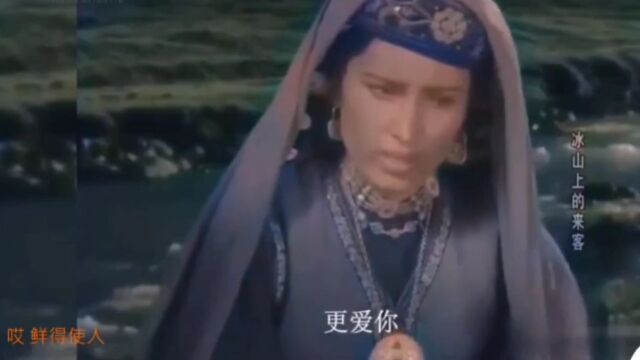 诗海拾贝17:沈苇诗歌精选及简评