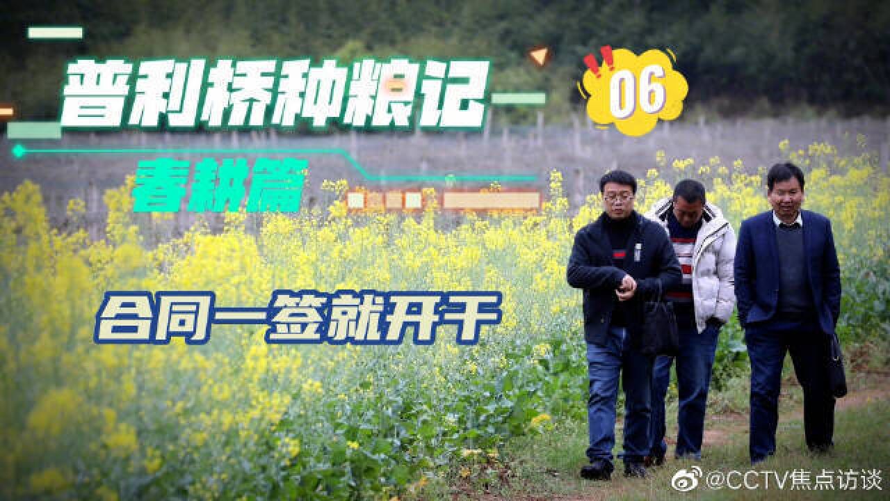 合同一签就开干!普利桥种粮记6