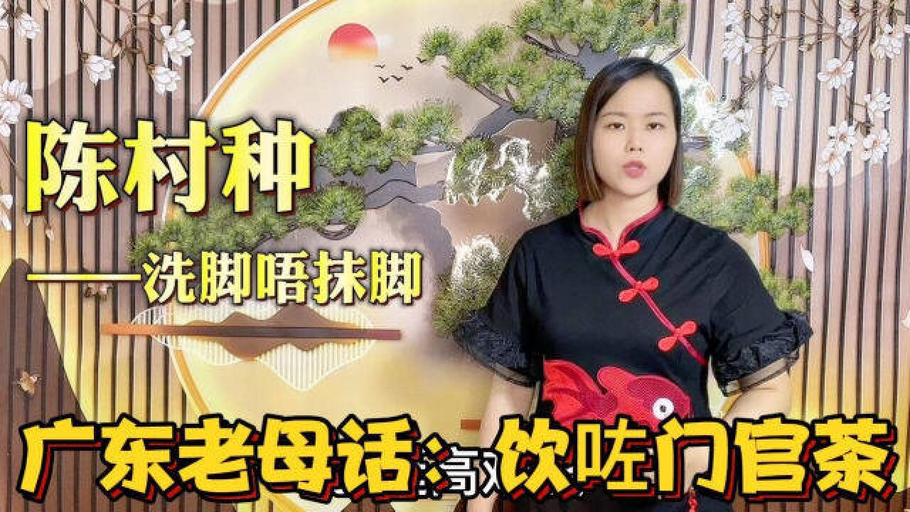 广东人说的陈村种、饮门官茶是什么意思?原来背后有故事