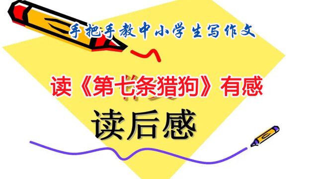 手把手教中小学生写作文:读《第七条猎狗》有感