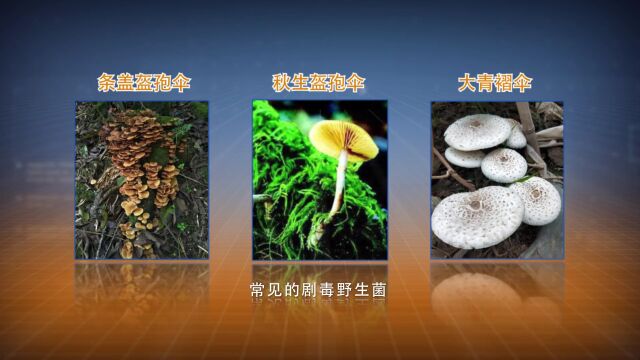 累了?来这歇歇脚吧!大理市移动爱心“职工驿站”揭牌启用