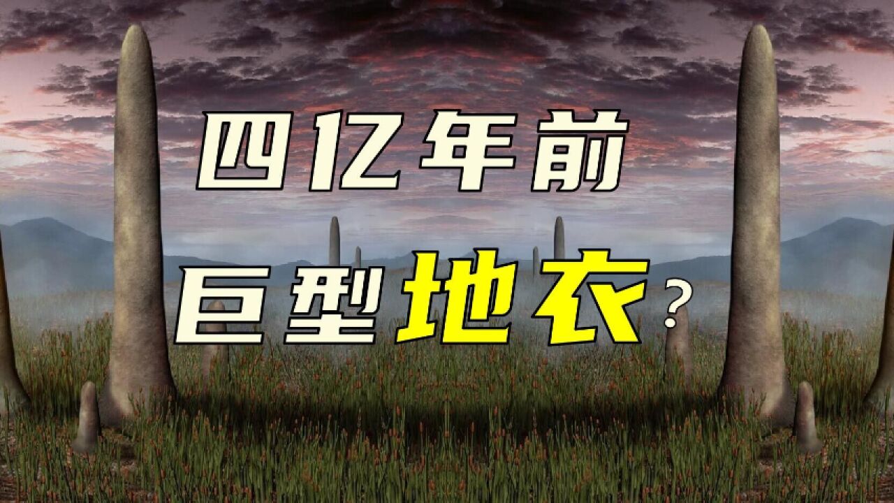 【鬼谷闲谈】地衣不是“一种”生物:死生契阔 与子成说