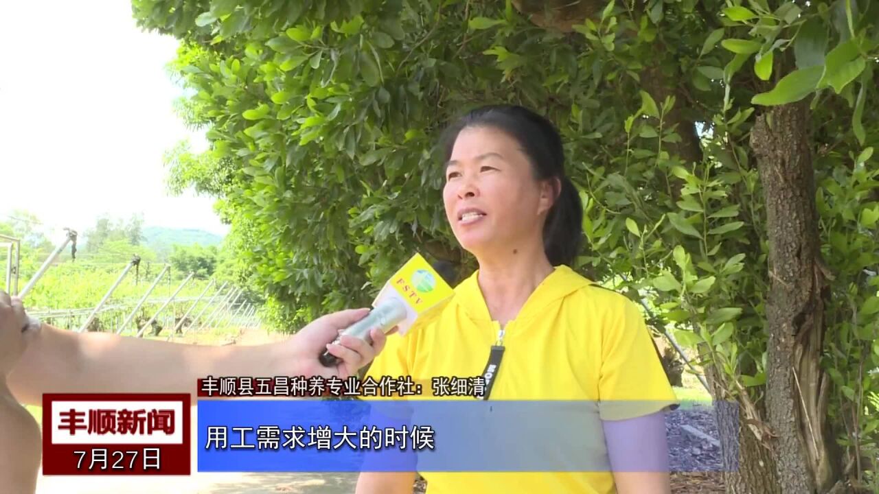 丰顺巩固拓展脱贫攻坚成果同乡村振兴有效衔接采访三