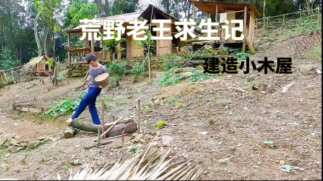 荒野老王野外求生,选择建造地址,独自一人打造一个家园