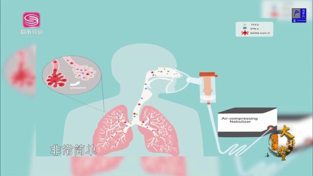 卢洪洲:全球新冠流行趋势和科学抗疫经验分享