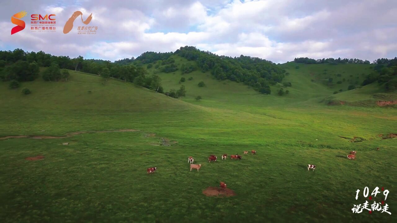 《1049 说走就走》带您走进关山草原 感受不一样的清凉夏日