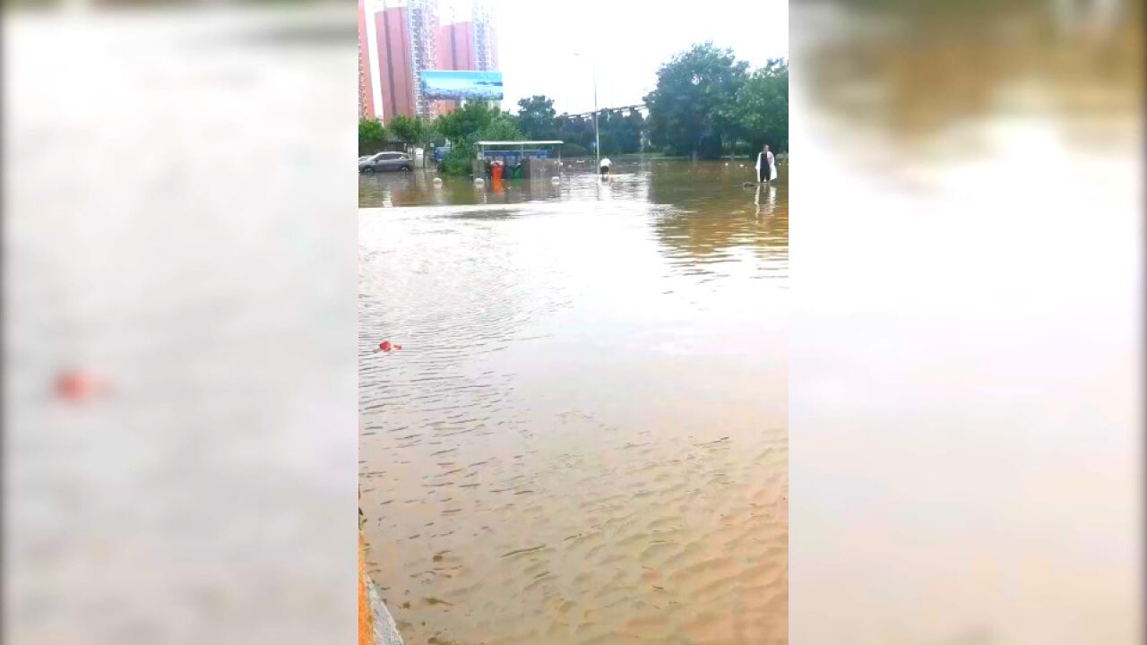 一场大雨后,旅顺和平公园成“大河”