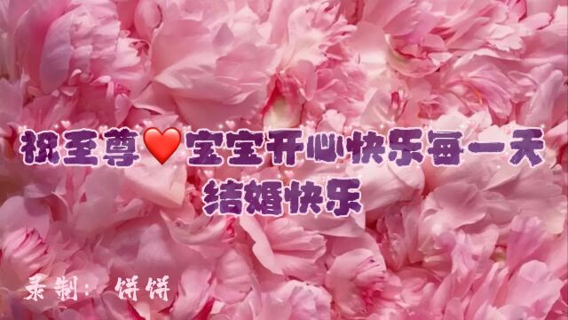 明日之诗 ⷠ豪华婚礼