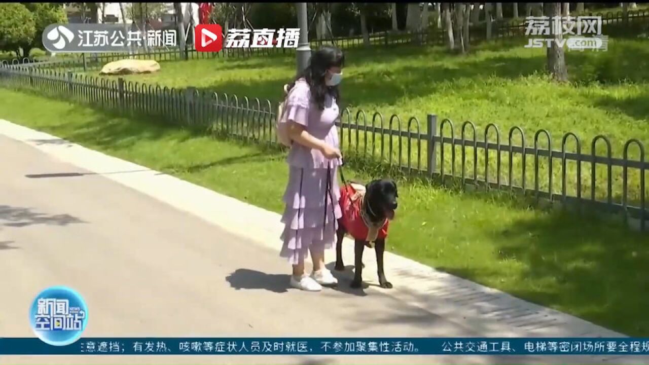 连云港首只持证导盲犬上岗 可以不受限制地上公交车