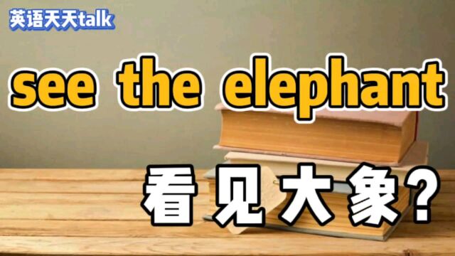 英语 see the elephant,不是“看到大象”,那到底是什么意思?