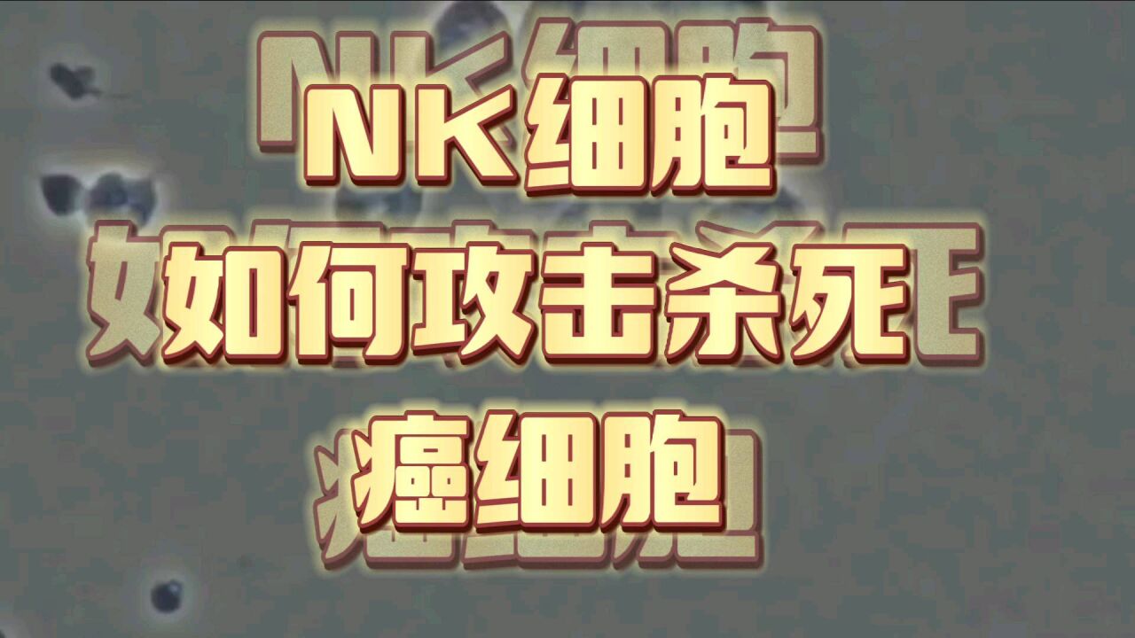 震撼!人体NK细胞,是如何杀死肿瘤癌细胞的?!显微镜下看一看!