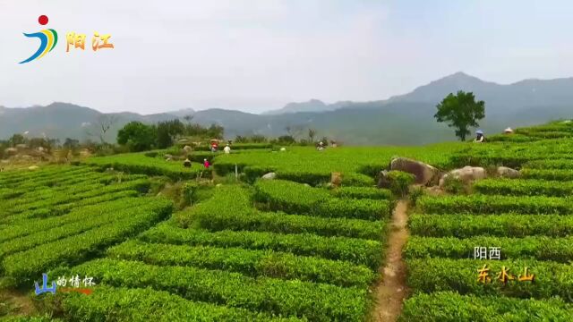 “活力广东、精彩粤西”好心茂名、魅力湛江、自在阳江文化旅游(许昌)联合推介会圆满举行