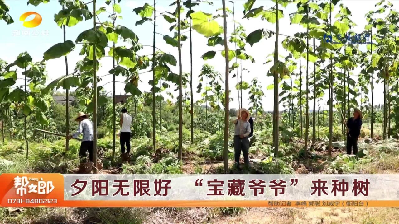 夕阳无限好 “宝藏爷爷”来种树