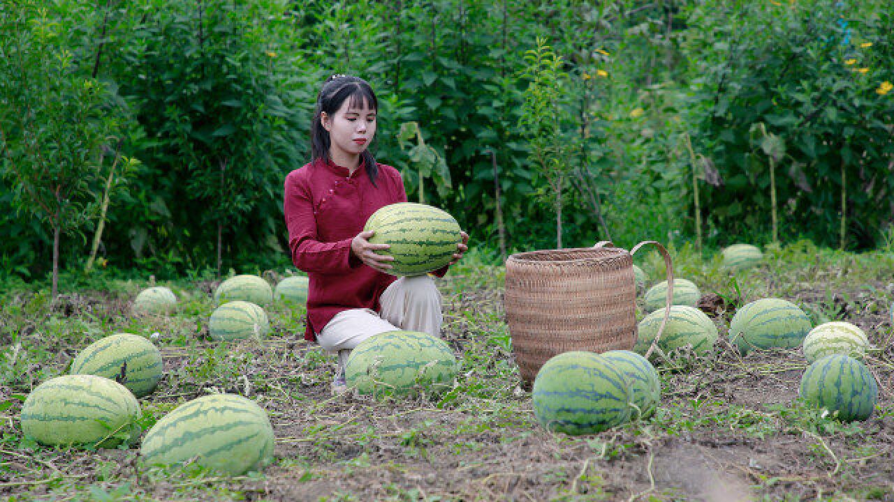 把又大又甜的西瓜,做成中国传统美食西瓜酱